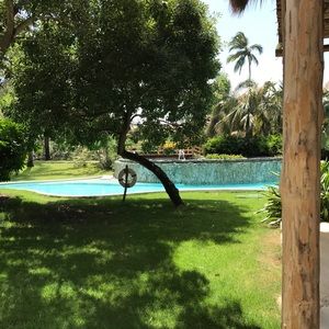 Meet your Posher, Suzanne